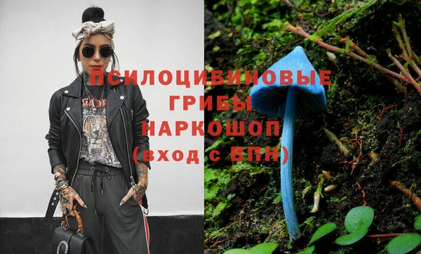 стафф Абаза
